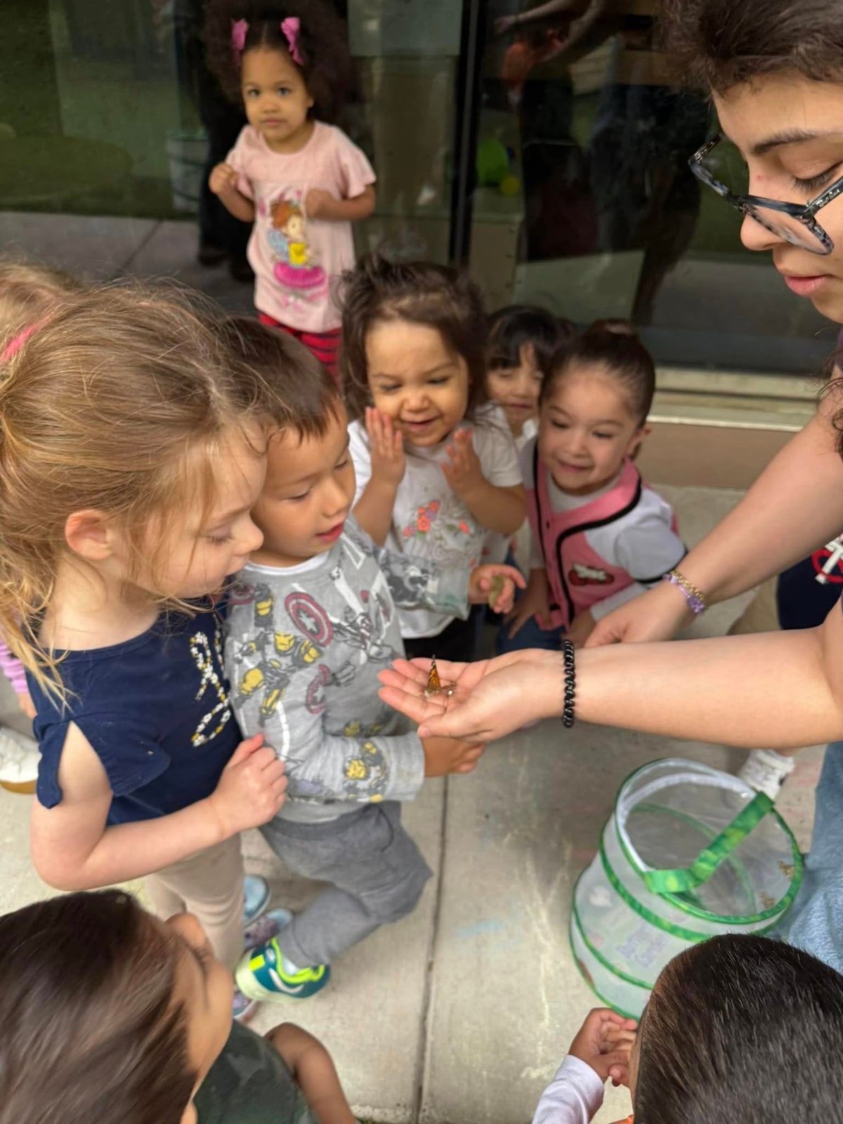 children observing a butterfly in their teacher's hand