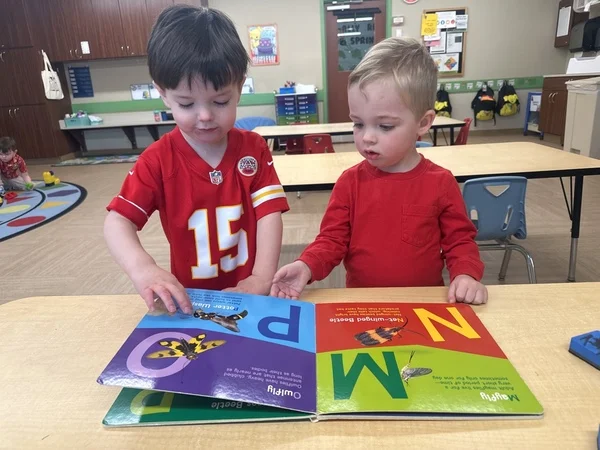 Pathways Wonder Time 1 Invite the children to compare the patterns of different insects and play a memory game.