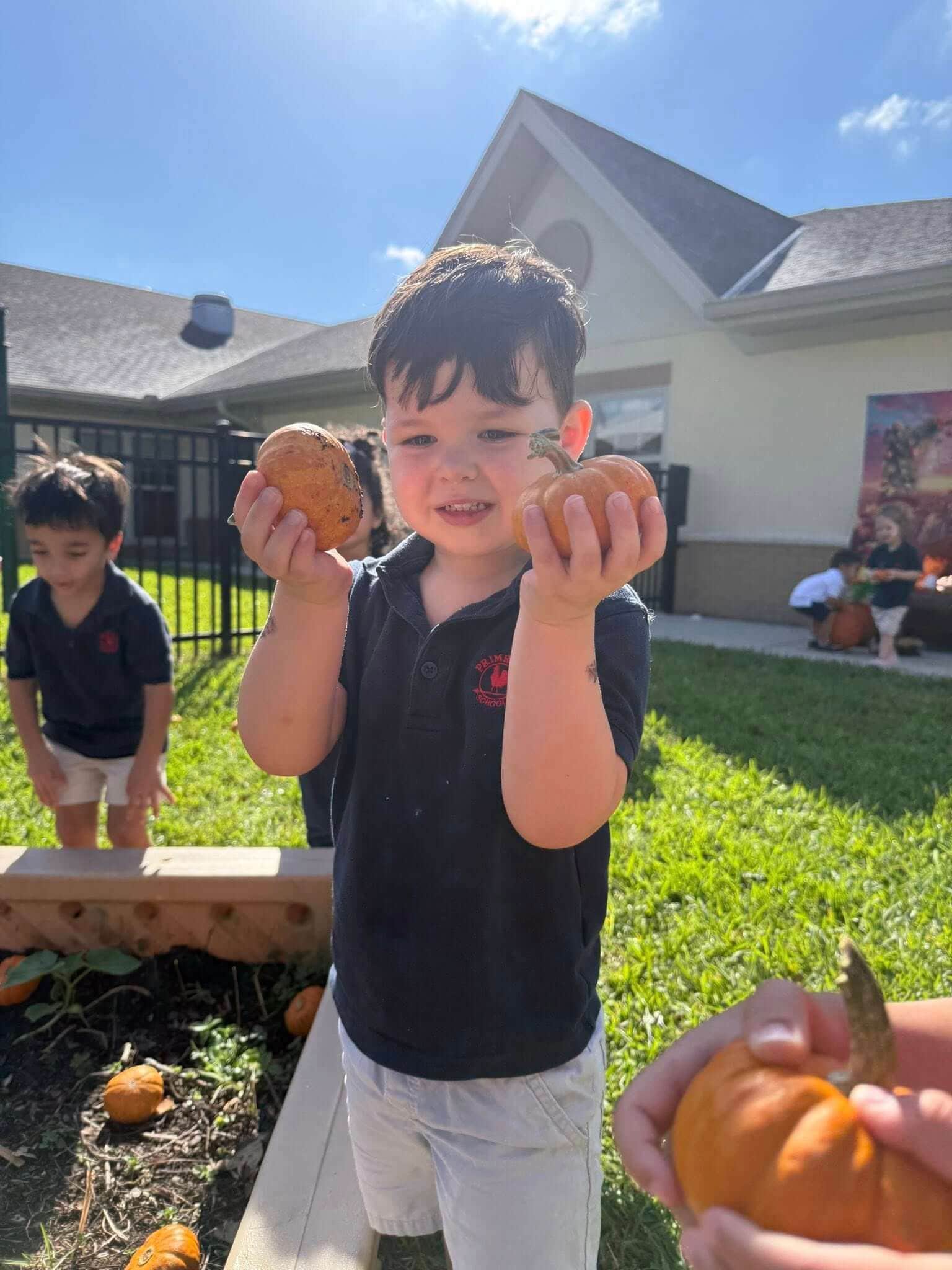 child in blue polo holding two pumpkins