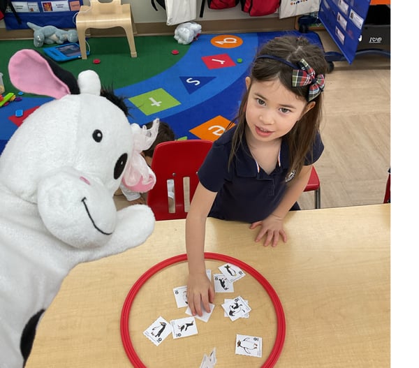 Preschool student participating in a matching and sorting activity that strengthens cognitive development, observation skills, and early problem-solving abilities.
