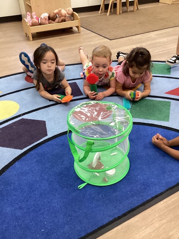 Classroom observations