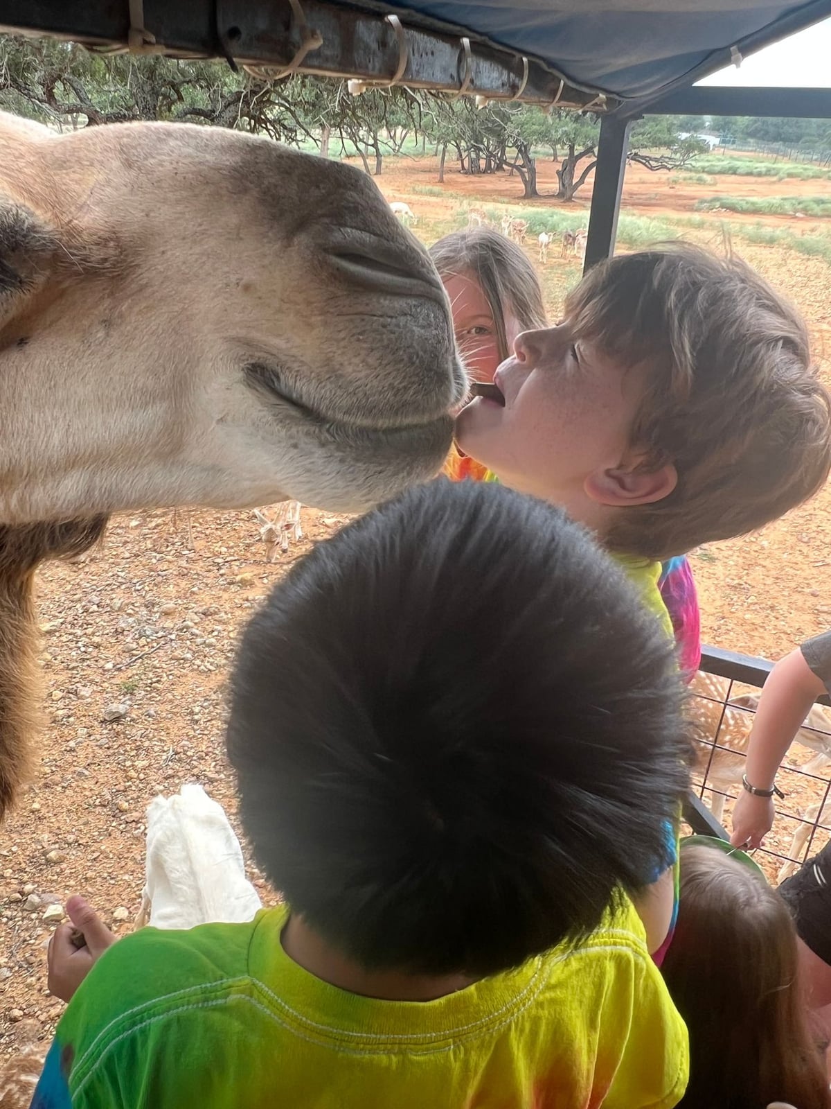 after school care Explorers field trip Exotic Resort Zoo Johnson City preschool Four Points Austin childcare