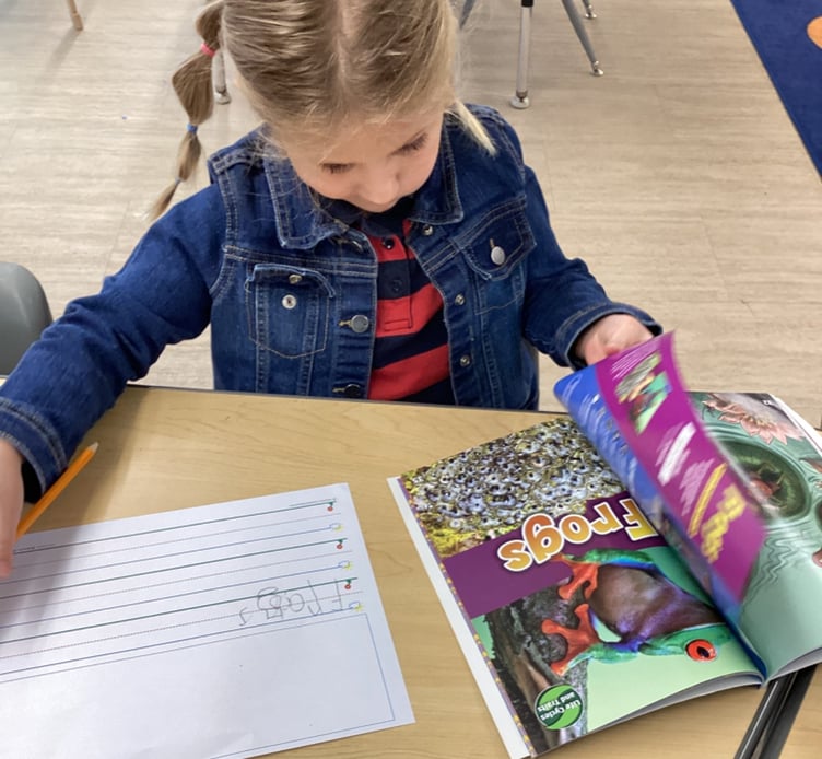 Reading, Kindergarten, Private school, Best, Frisco