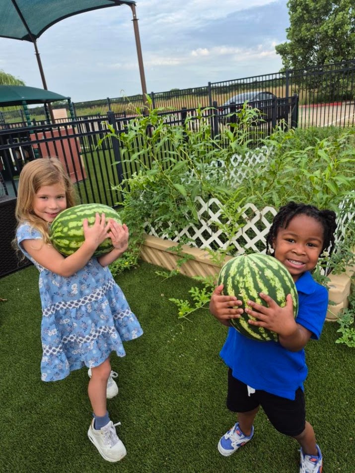 planting, grow food, hand-on