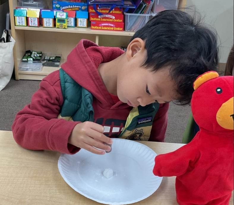 Preschool student conducting a simple science experiment while observing changes and practicing critical thinking and discovery skills.