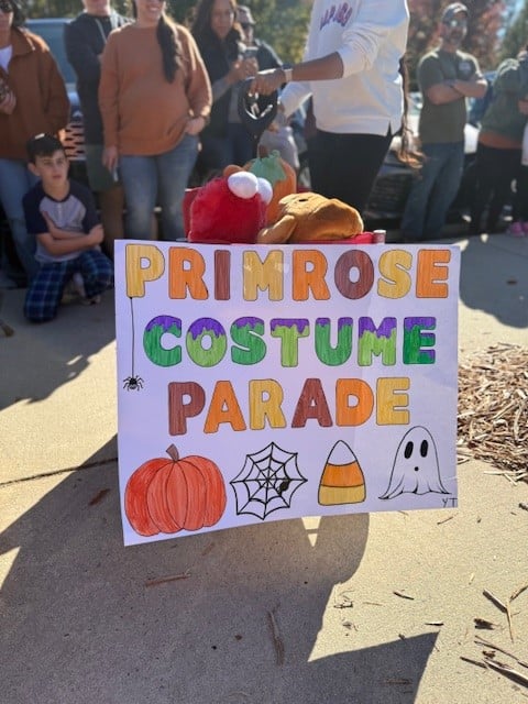 Parade of costumes