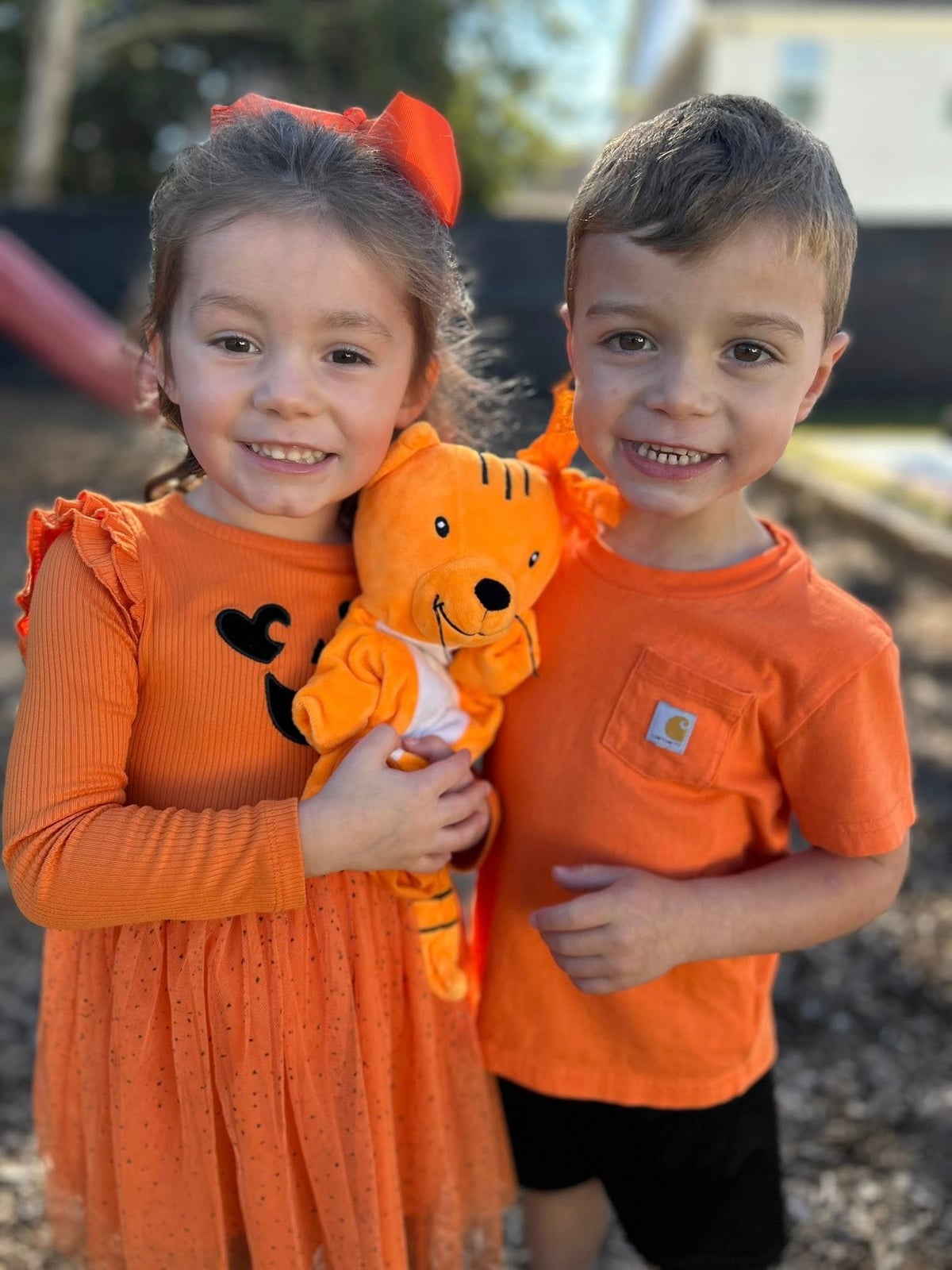 Celebrating Katie the Cat's Birthday!