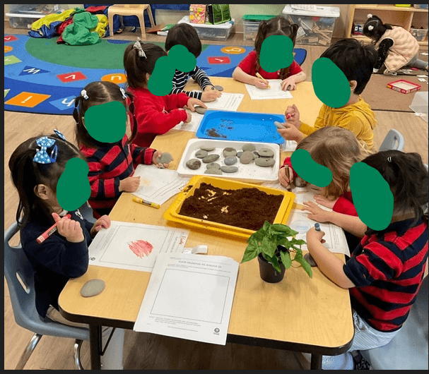 Primrose School - Cupertino -