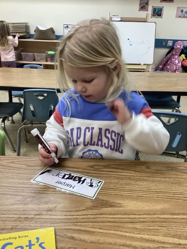 Fine Motor Skills