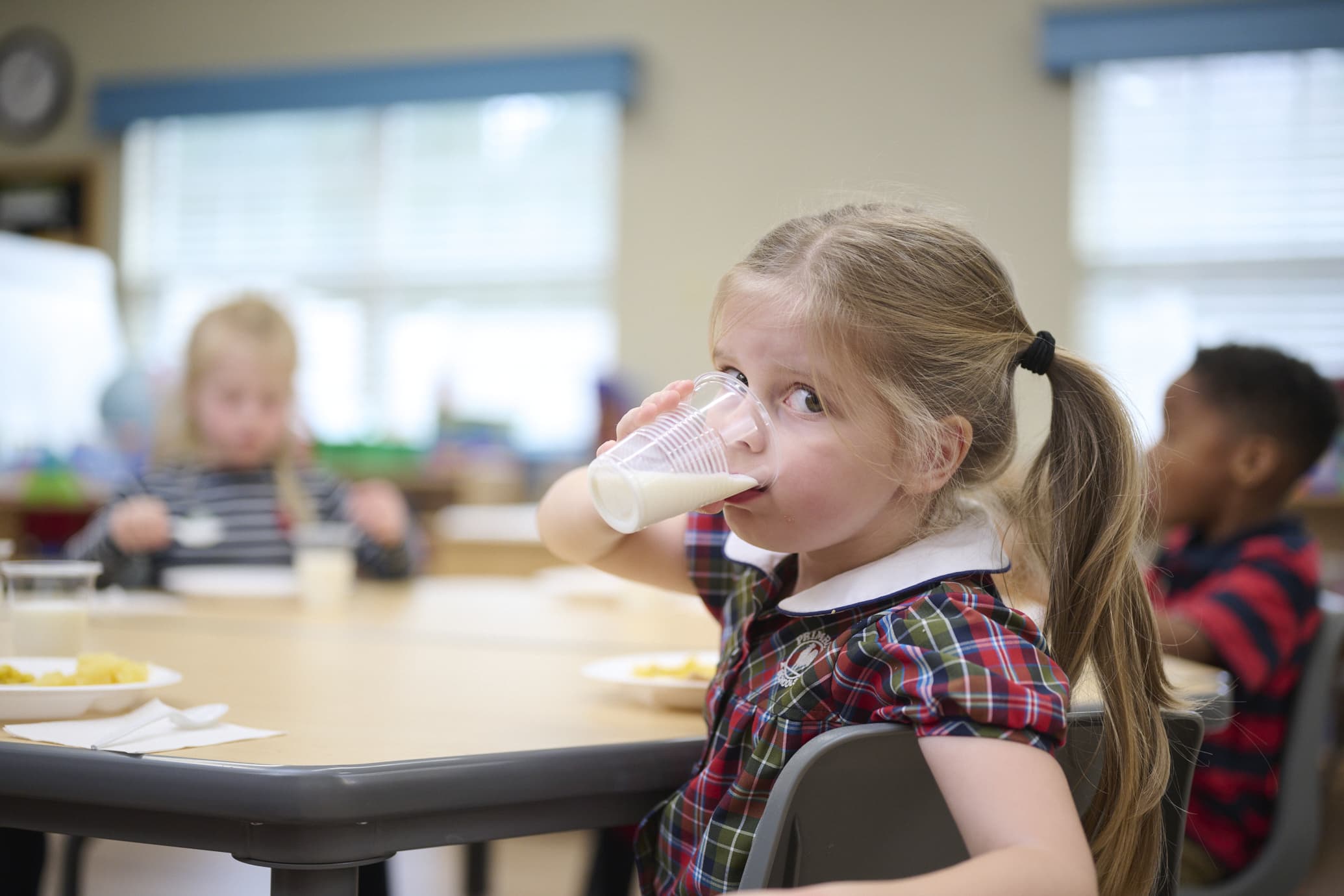 kindergarten child drinking milk