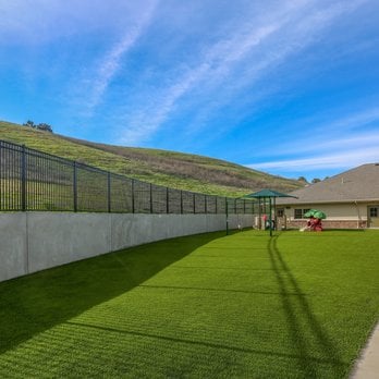 Early Preschool (2-3 yr old)