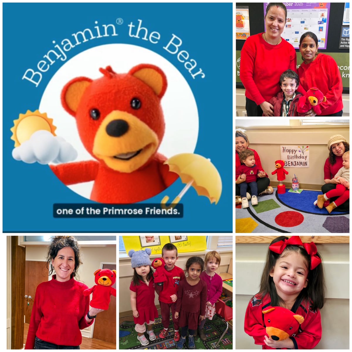 Whose birthday is today?... Benjamin the Bear