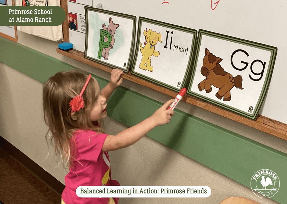 Building Character in Preschool Primrose Friends Character Development Preschool Social Emotional Learning through Puppets Balanced Learning® Character Building Activities Teaching Honesty and Compassion in Preschool Role-Play and Puppets for Early Learning Preschool Music and Books for Character Development Primrose Friends Positive Character Traits Early Childhood Social Skills Development