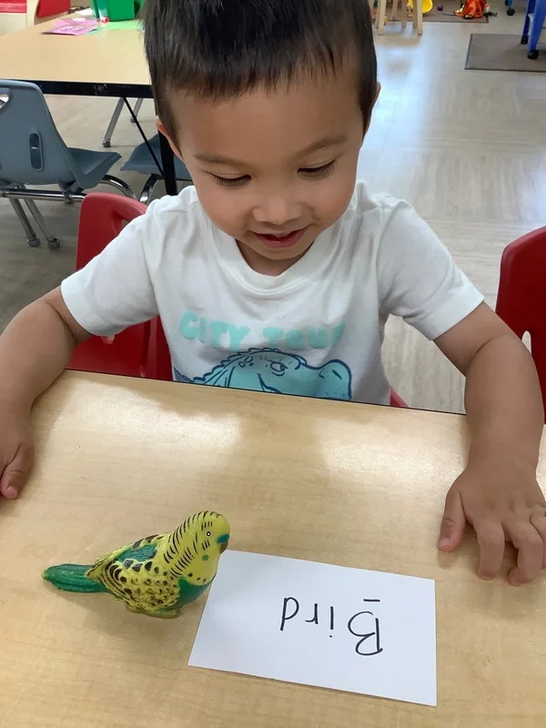 Toddler boy smiling while matching a toy bird to a word card that says "bird" during a literacy activity, building early reading and vocabulary skills in a preschool classroom.