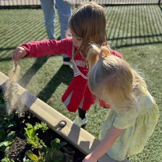 Magical Pumpkin Patch