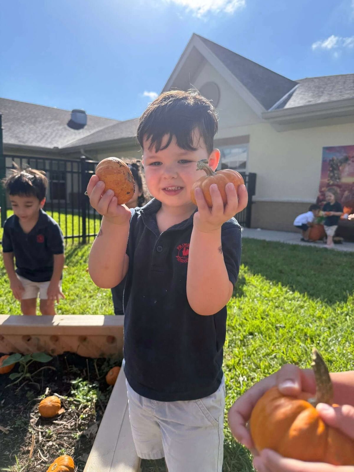 child in blue polo holding two pumpkins