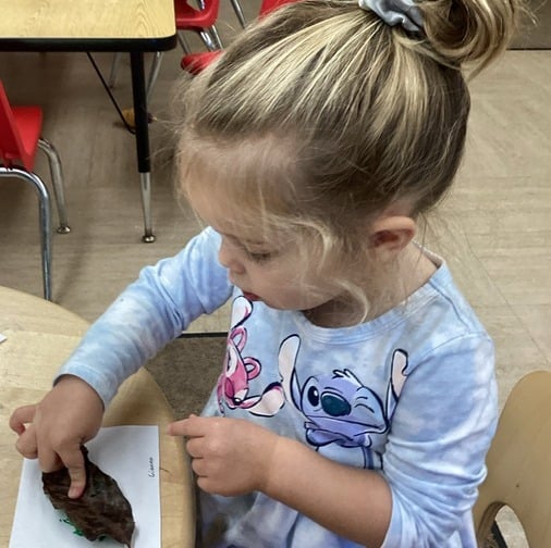 Girl touching a leaf
