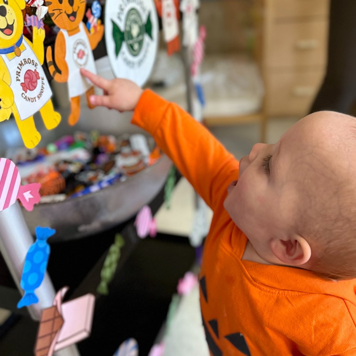 Halloween in Infants