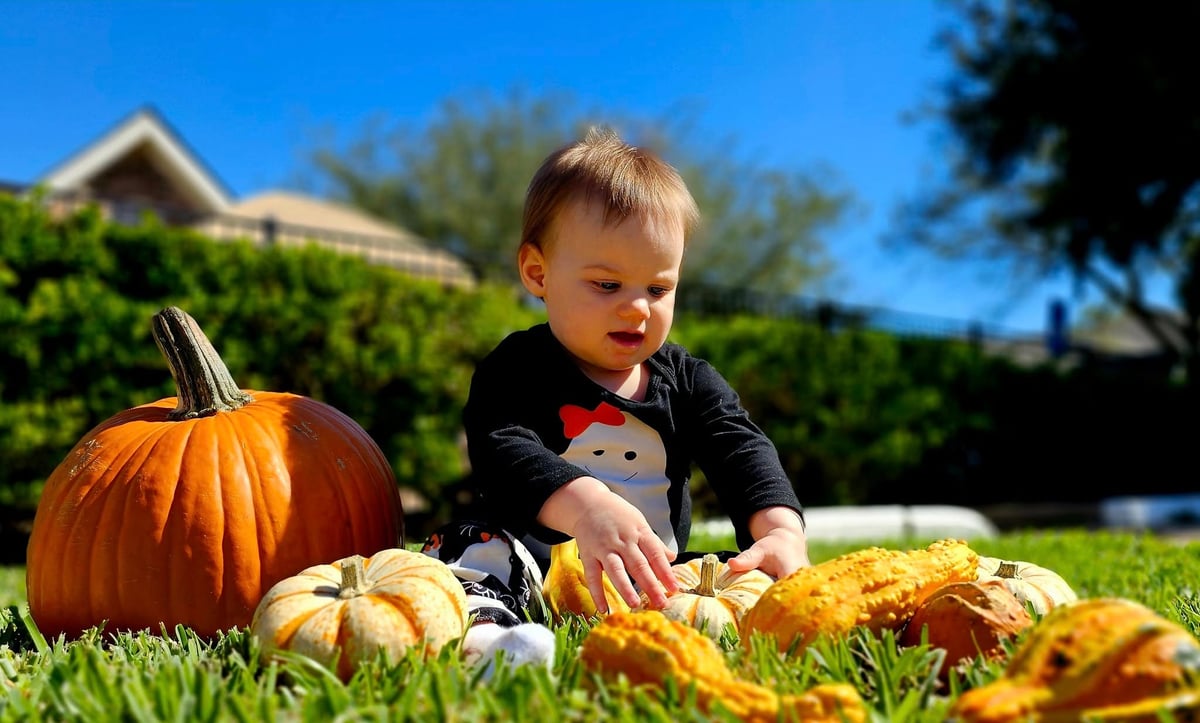 Pumpkin Patch Discovery
