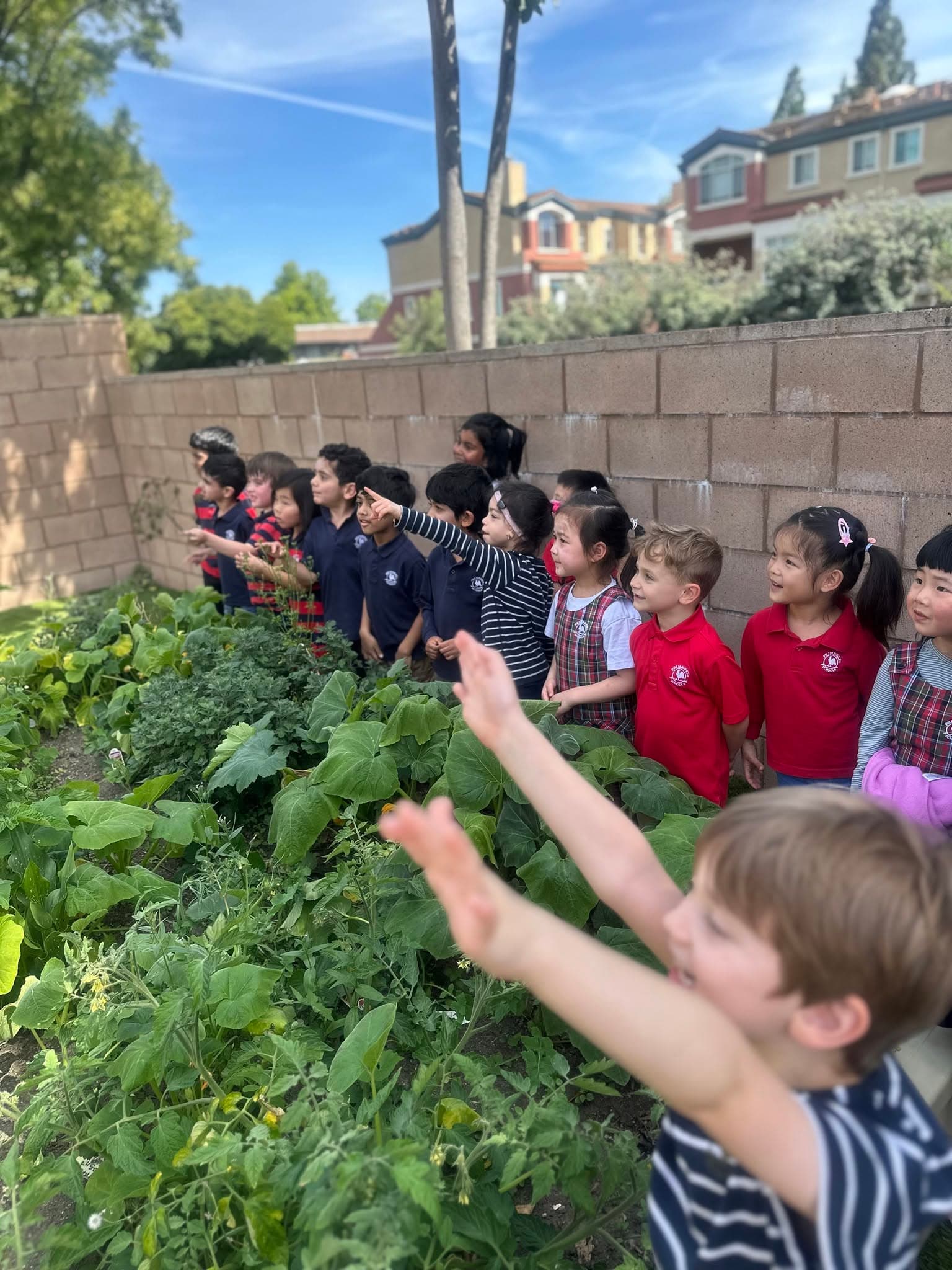 Garden Patch