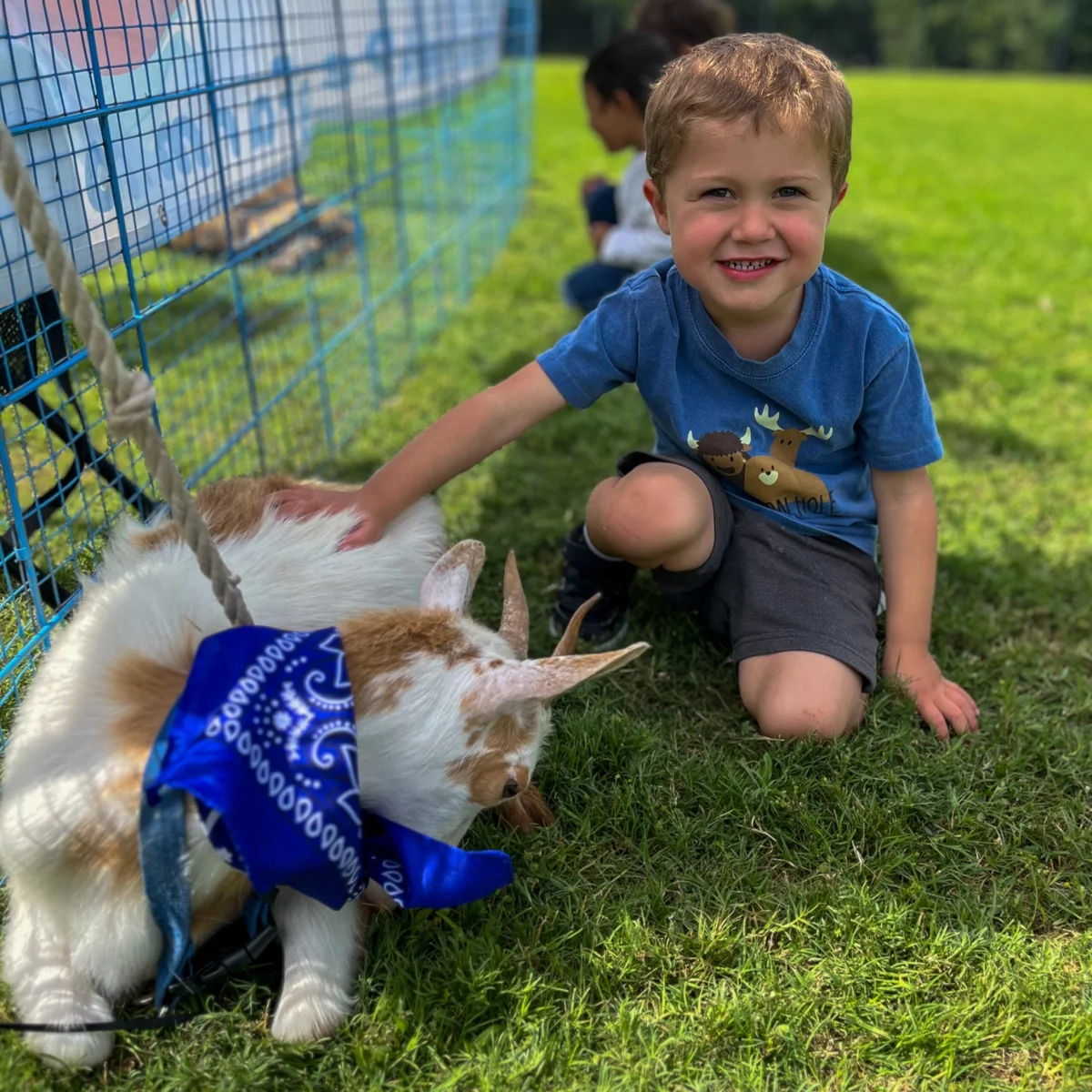 LISD Pre-Kindergarten