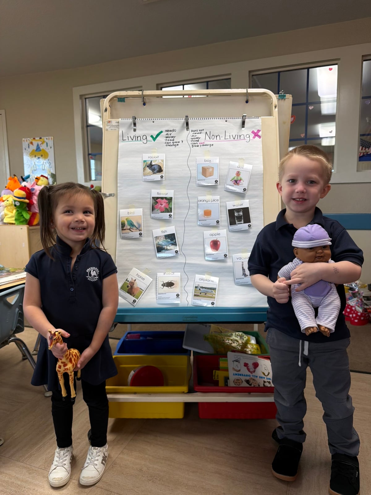 Living and Non Living Things!