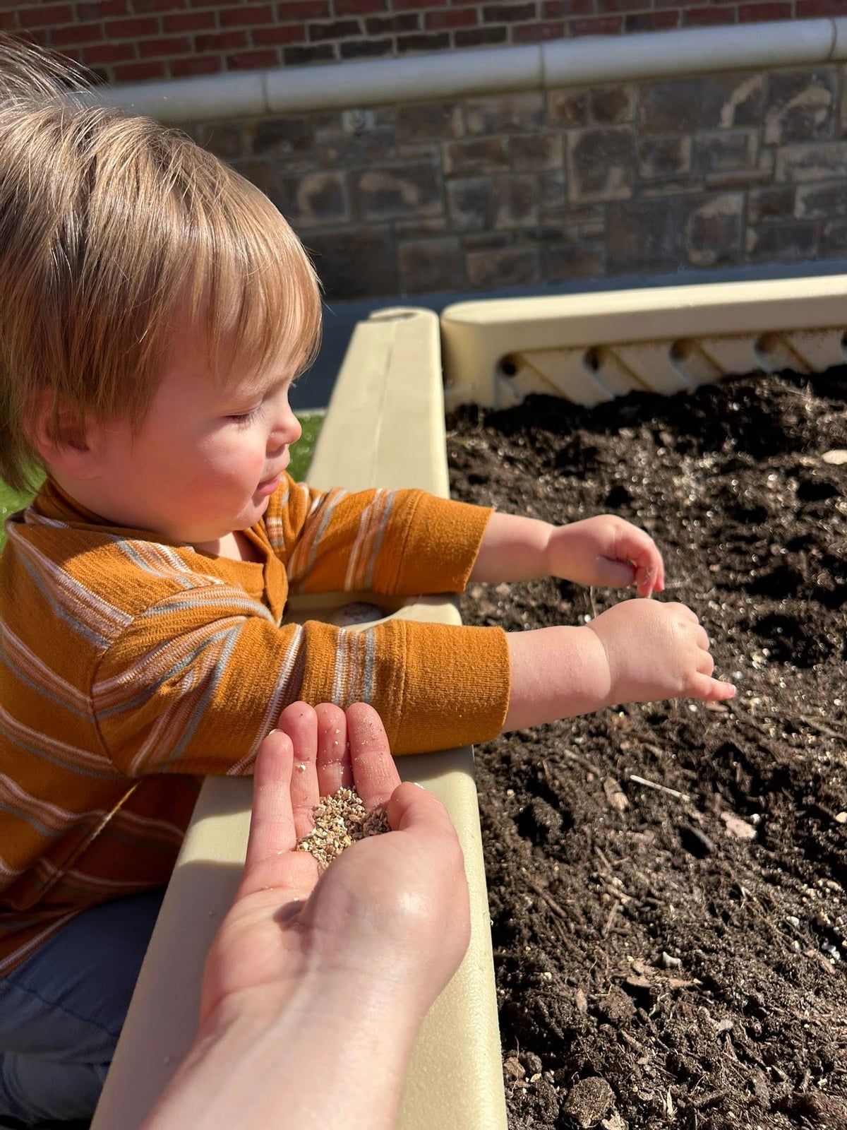 A parent reading to children