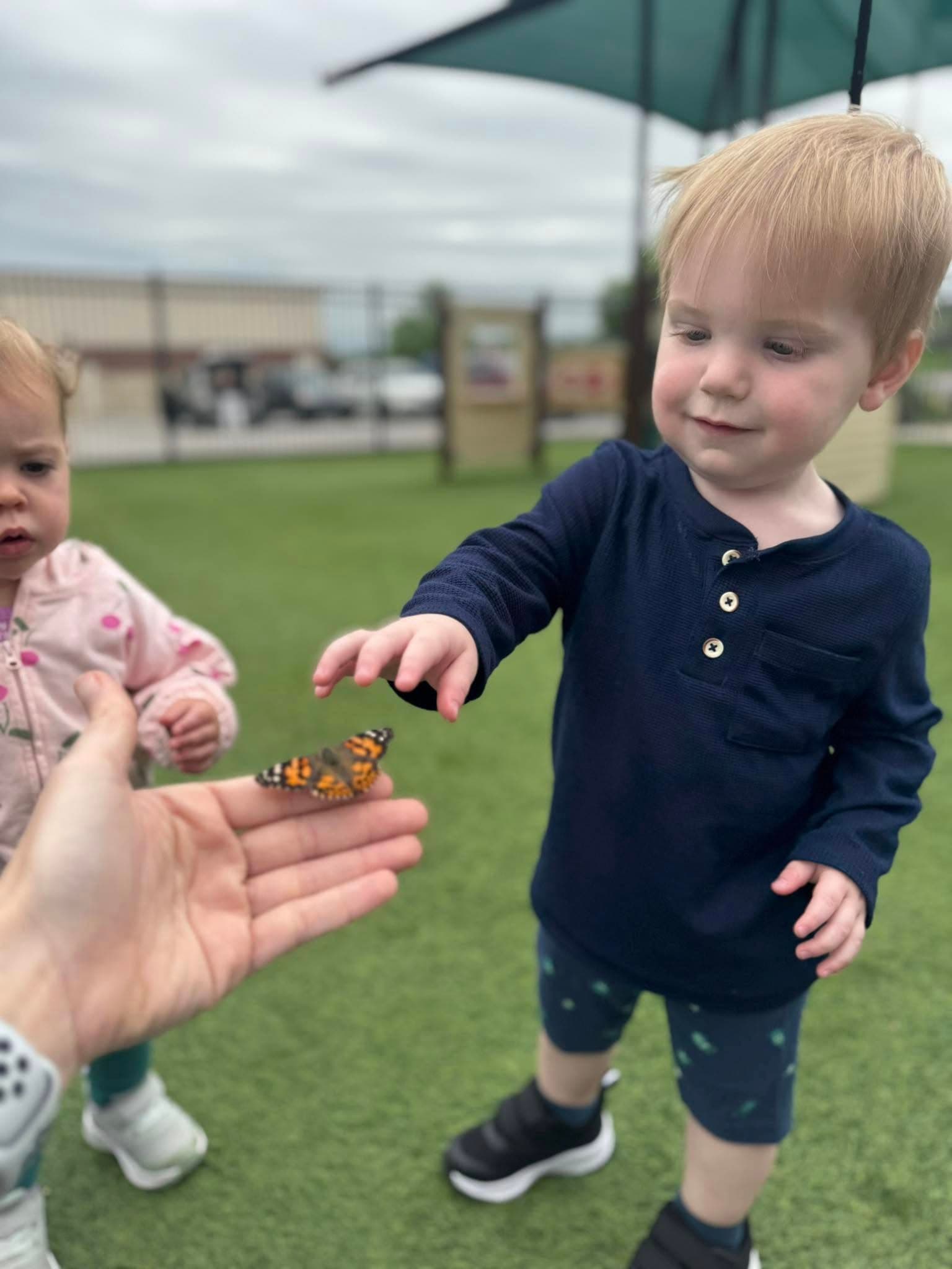 Toddler Curriculum