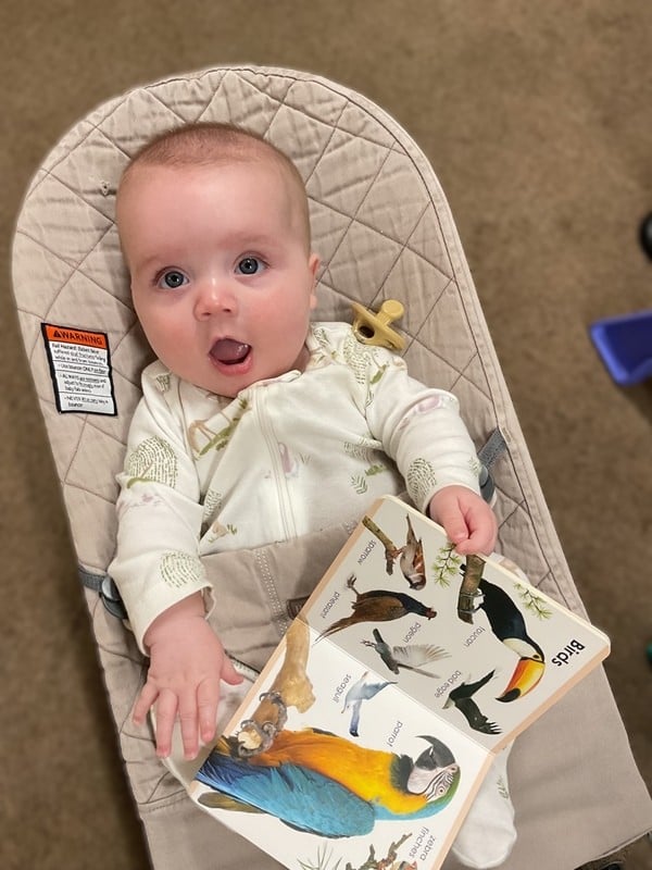 baby in a bouncer chair holding a book with images of birds on it