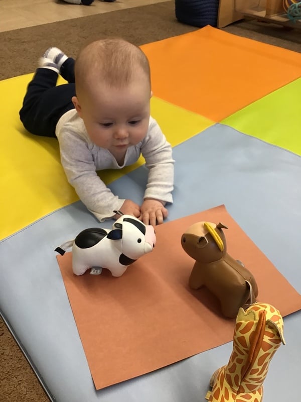 baby playing with animals during tummy time