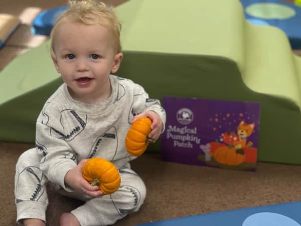 Pumpkin Patch