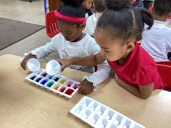 STEM Project- Observing Liquids!