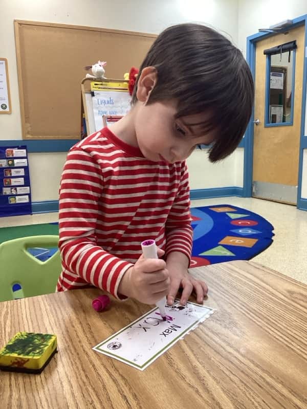 Fine Motor Skills