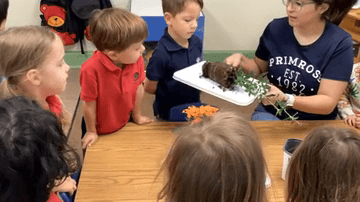 Argyle Lantana Highlandvillage bartonville Double Oak