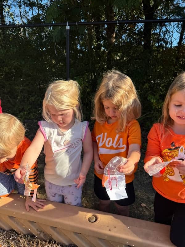 Pumpkin Patch