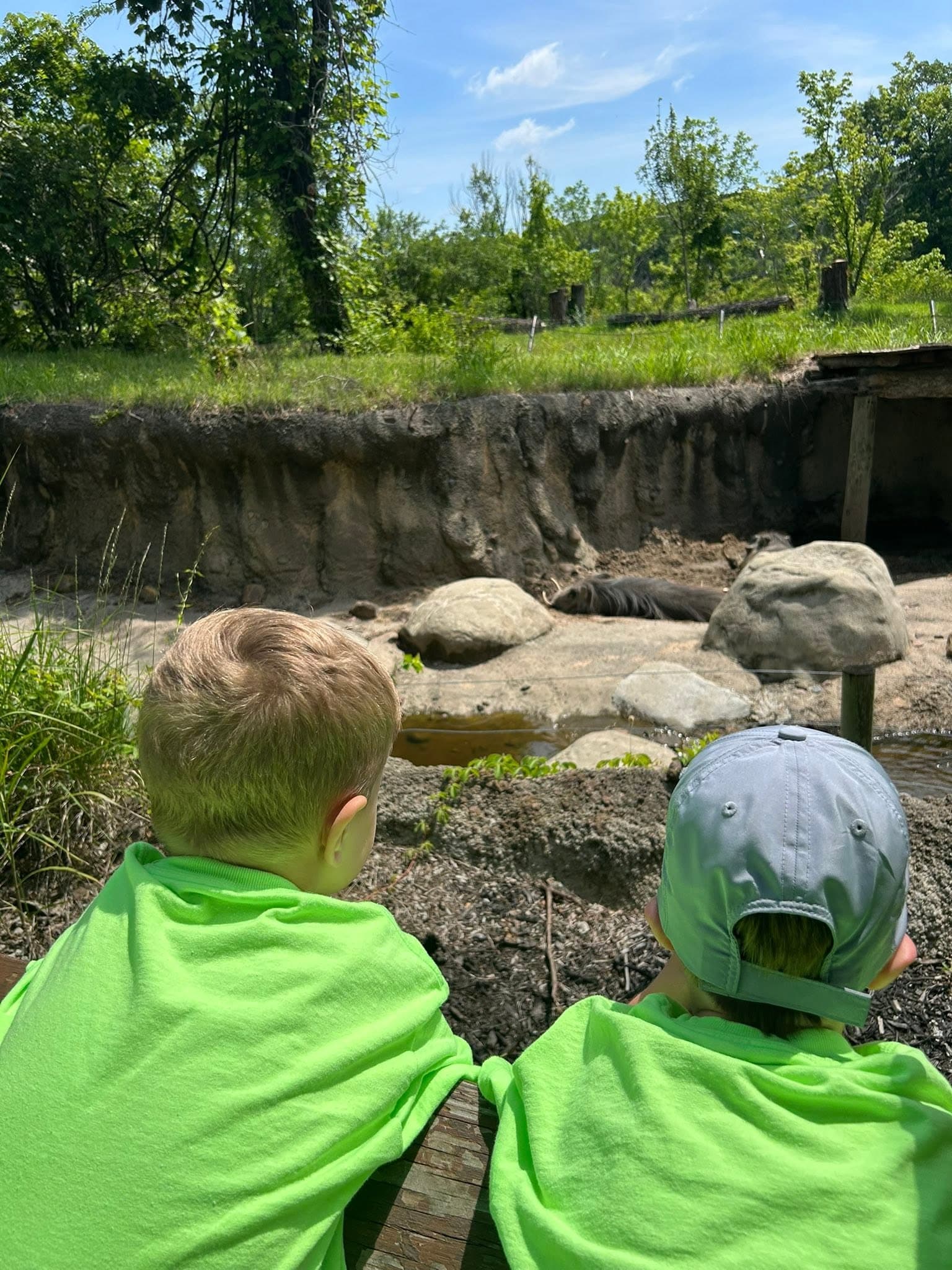 Trip to the Zoo #2🦍🦁🦩