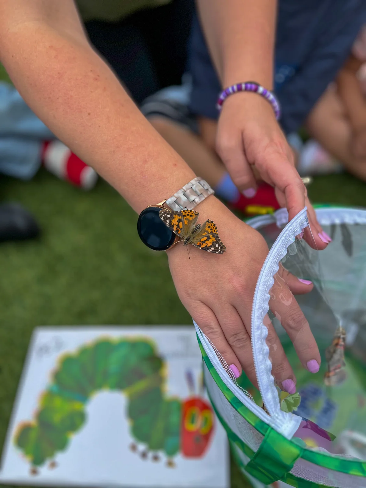 Preschool Butterfly Release