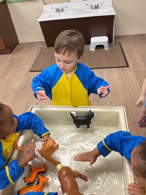 Primrose Smyrna - Toddler's Daily Pathway Sensory Learning Routine